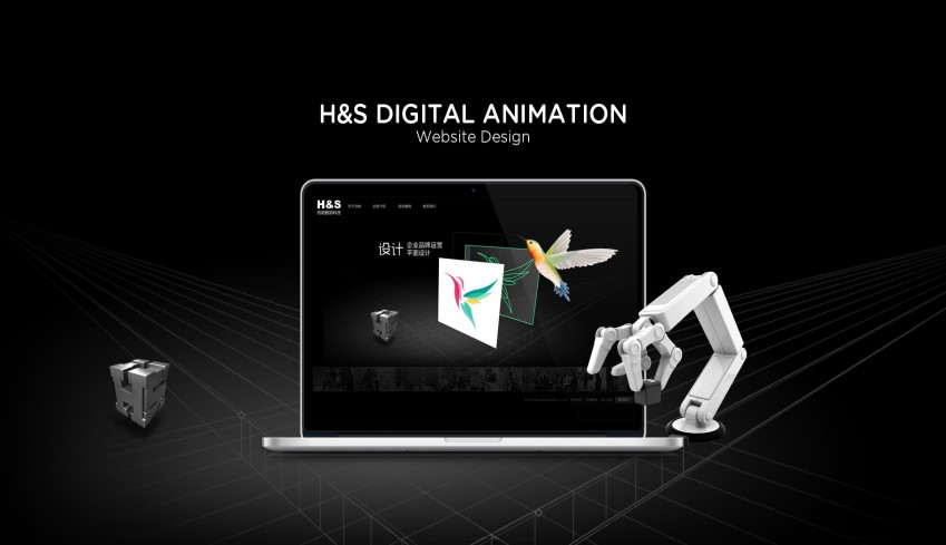 hongkong web development hsanimation