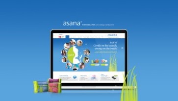 Website Asana Pads Responsive design